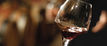 Wine Tours & Wine tastings Wine Tours & Wine tastings