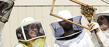 Bee-Keeping on the Rooftops of Paris Bee-Keeping on the Rooftops of Paris