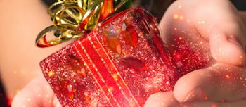 Make a Gift of an Experience Make a Gift of an Experience