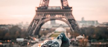 Honeymoon in Paris Honeymoon in Paris