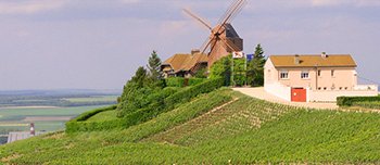 Day Trips to French Wine Regions Day Trips to French Wine Regions