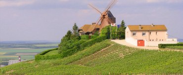 Day Trips to French Wine Regions